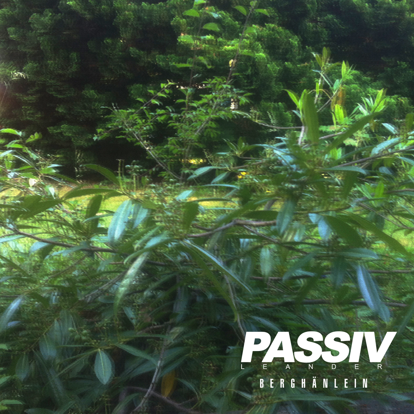 Berghänlein「ヴァイ」EP