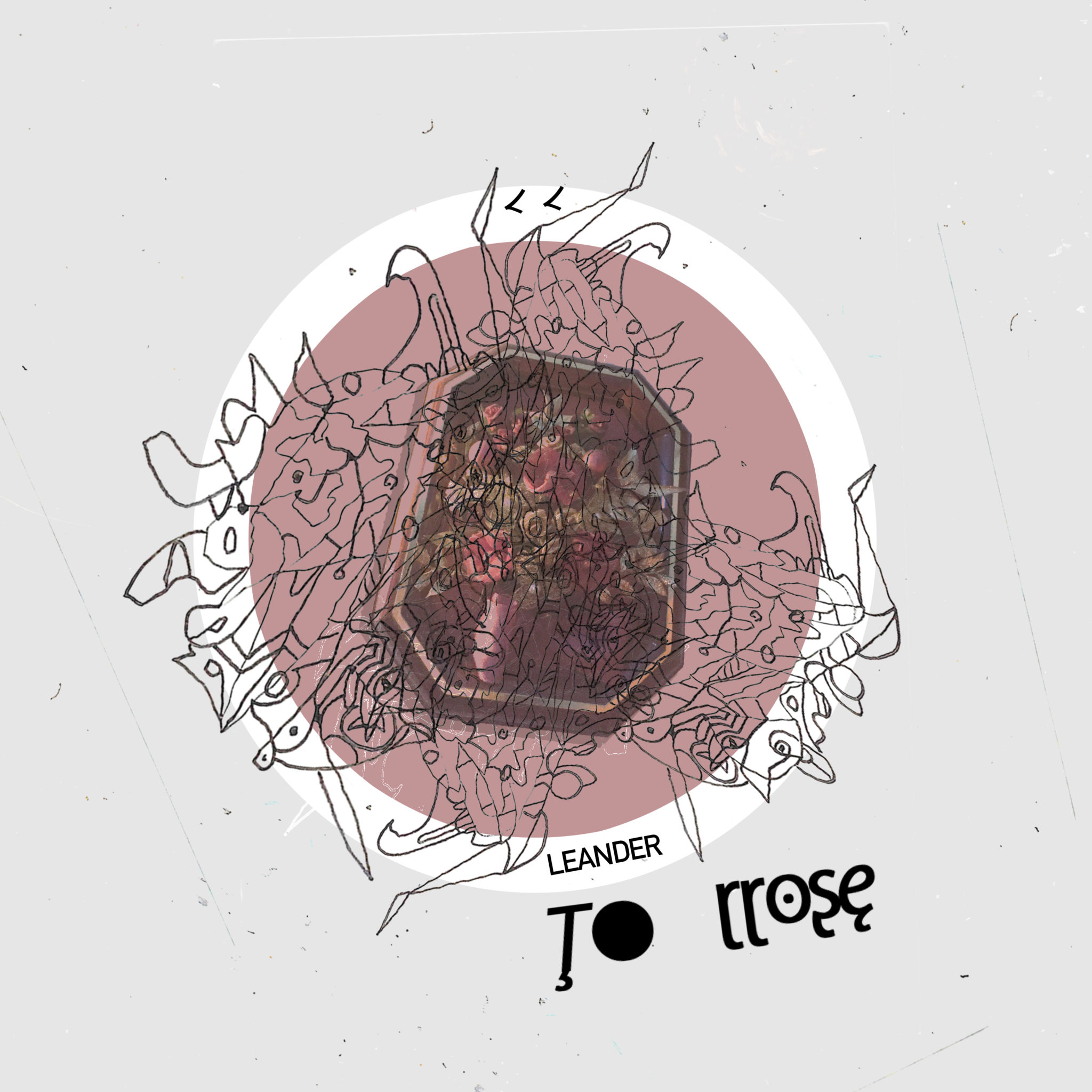 Torrose ∴ Lp